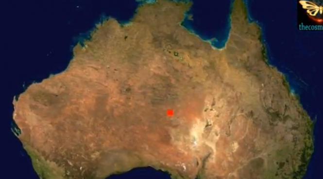 o noua specie de delfin descoperita in australia la ce concluzie cu ajuns oamenii de stiinta