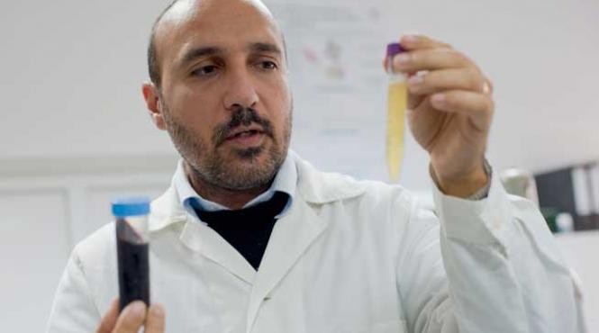 sange artificial made in cluj solutia contine apa saruri si o proteina hemeritrina extrasa din viermii marini