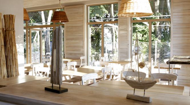 povestile ancorei istoria somonului ingropat in nisip