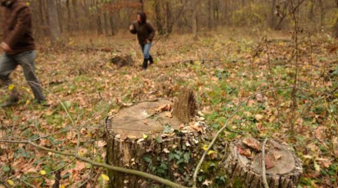 varga peste jumatate din angajatii silvici sa plece sunt fie de rea credinta fie incompetenti
