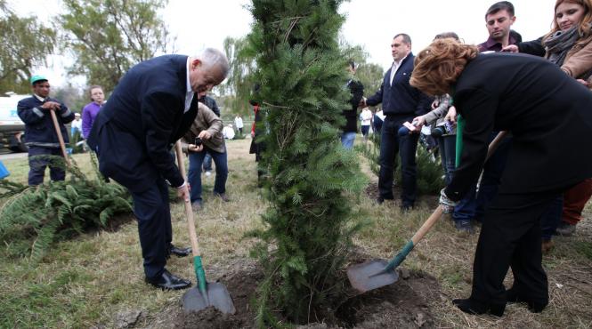 capitala creste verde sorin oprescu si rovana plumb au plantat copaci in parcul tineretului