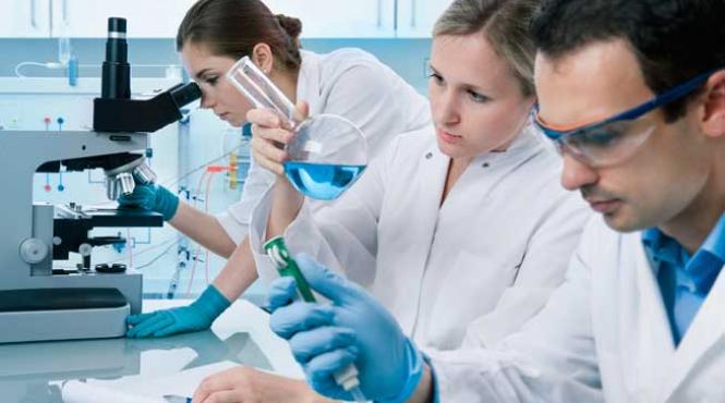 genele care distrug ficatul descoperire a cercetatorilor din singapore sua si romania publicata in nature genetics