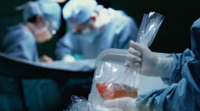 anunt istoric al oamenilor de stiinta a fost descoperita o noua parte a corpului uman