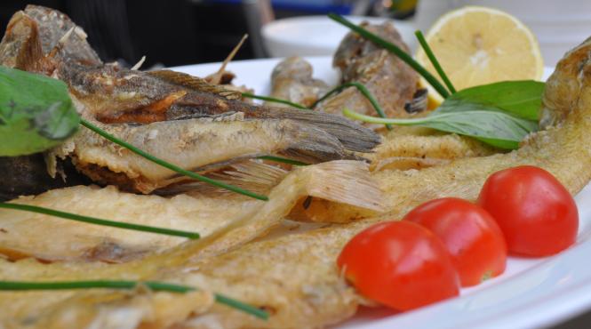 povestile ancorei n vodul cu pestii cei mici