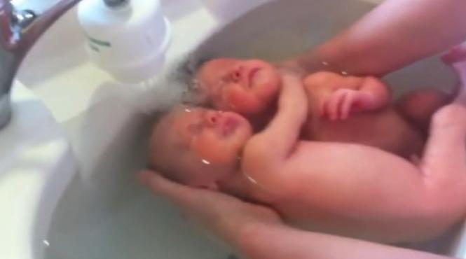 imaginile care te vor induiosa pana la lacrimi video