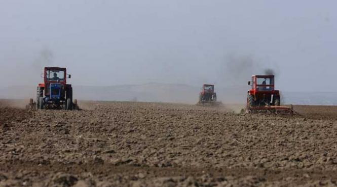strainii au liber la cumpararea terenurilor agricole cunostintele si experienta de minim cinci ani in domeniul agricol nu vor mai fi obligatorii