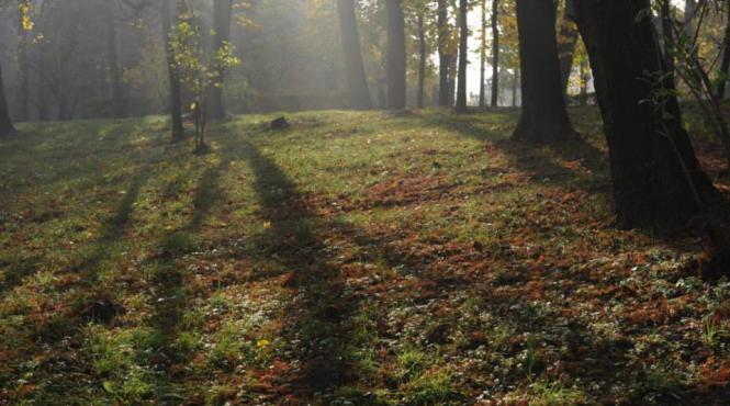 temperaturile raman ridicate i in weekend prognoza meteo in tara i in capitala