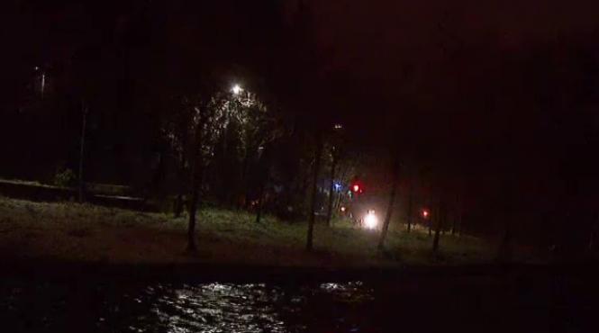 descoperire macabra in parcul ior din capitala ce a gasit un barbat langa un copac