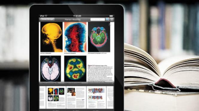 intel face software educational la cluj