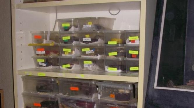 politistii au avut un soc cand au intrat in casa ce tinea in sufragerie o femeie de 64 de ani