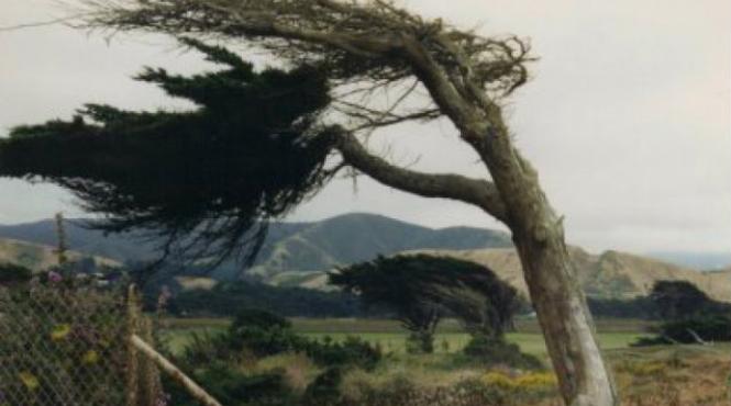 anm a emis cod galben de vant puternic pentru opt judete vezi care sunt zonele vizate