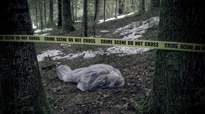 tara mea de crime tara de omor