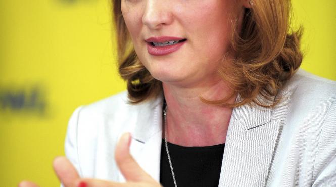 ministrul transporturilor consultantul pentru privatizarea companiei cfr marfa ar putea fi selectat pana la finele lunii februarie 2014