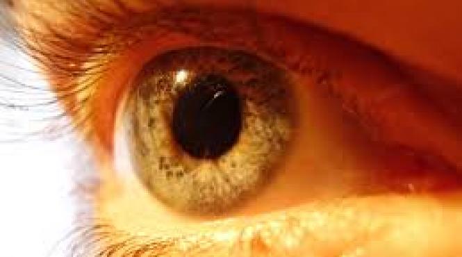 glaucomul si lentilele de contact