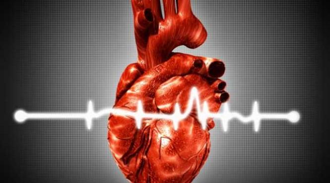 o inima artificiala aproape perfecta