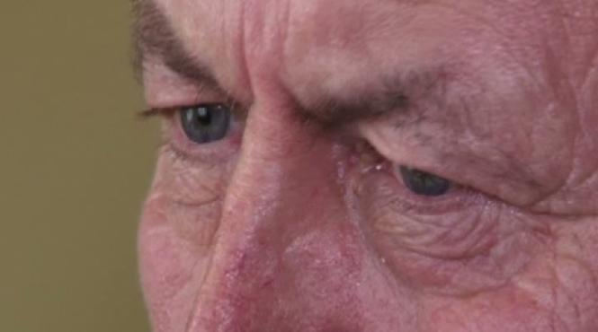 traian basescu are o sosie un roman seamana izbitor cu seful statului video