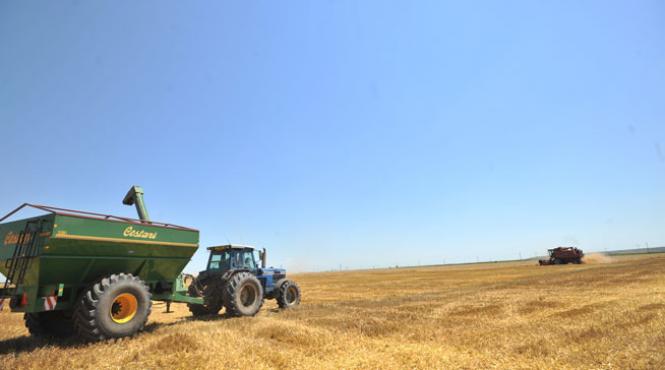 comisia nana primele audieri