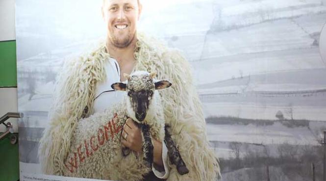 ghita intruchiparea visului american in poiana lui iocan