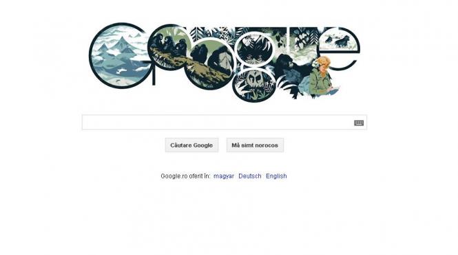 google o sarbatoreste pe dian fossey la 82 de ani de la nasterea cercetatoarei americane