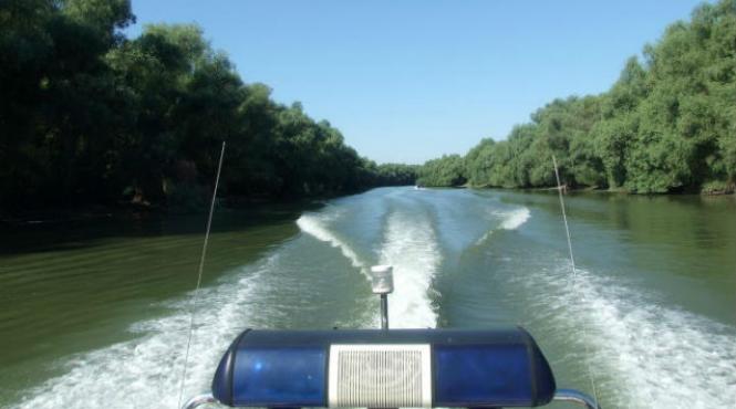 800 de kg de peste si mai multe kilograme de icre de stiuca confiscate de politisti in zona delta dunarii