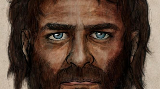 genotip european mezolitic piele neagra ochi albastri