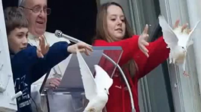 scena ocanta la vatican ce s a intamplat cu porumbeii elibera i de papa francisc in timpul slujbei de duminica video