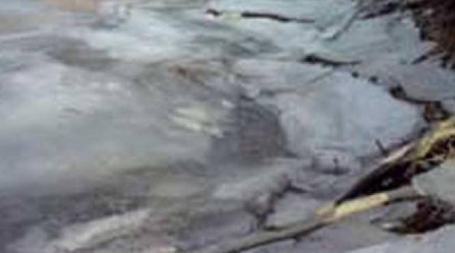 avertismentul hidrologilor se va forma gheata pe majoritatea raurilor din tara