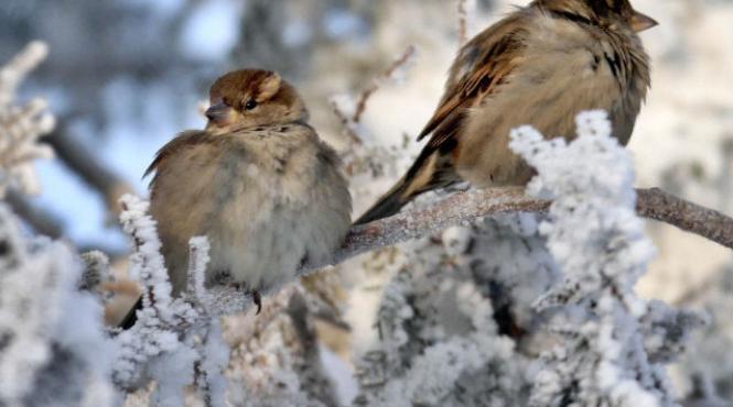 anm vremea ramane severa si dupa ridicarea codului rosu