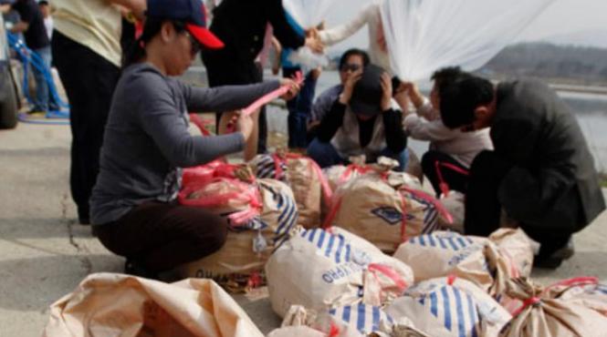 este introdusa ilegal din coreea de sud si pentru ea nord coreenii sunt dispusi sa si cheltuie venitul pe o zi de munca