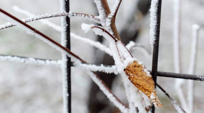 cum va fi vremea pana pe 16 februarie prognoza meteo pentru fiecare regiune a tarii