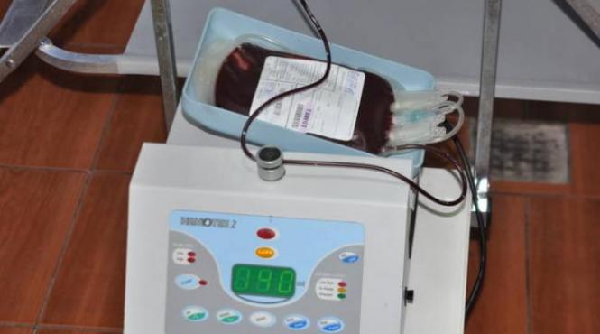 sange transfuzii conservare pesti