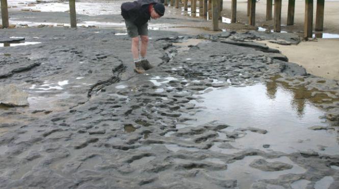 primele urme pasi oameni europa