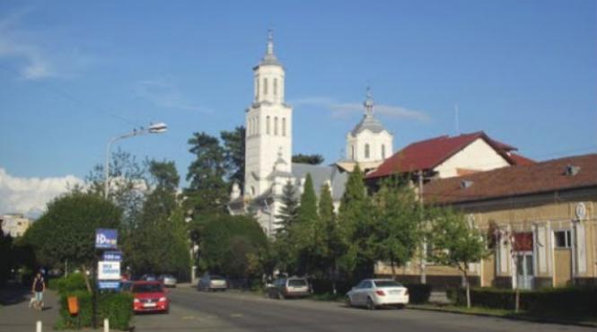 hunedoara ordinul arhitectilor protesteaza fata de taierea pinilor seculari din curtea episcopiei devei