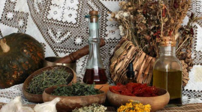 mama filica i plantele ei tamaduitoare