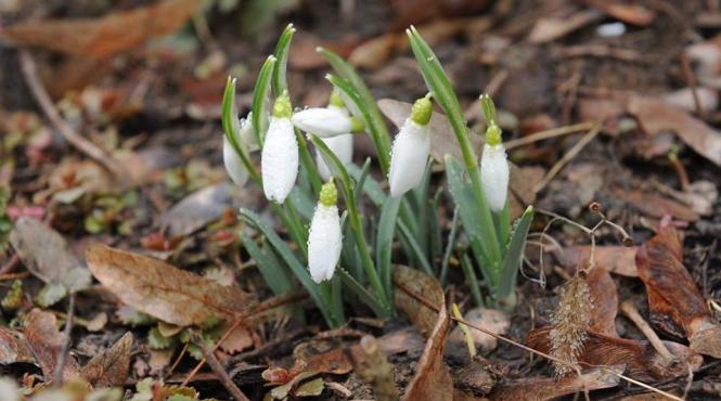 cum va fi vremea in urmatoarele trei luni vezi prognoza meteo pentru intervalul martie mai 2014