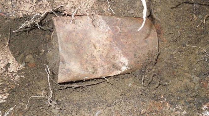 este cea mai mare din istoria sua ce a gasit un cuplu din california ingropat in propria gradina video