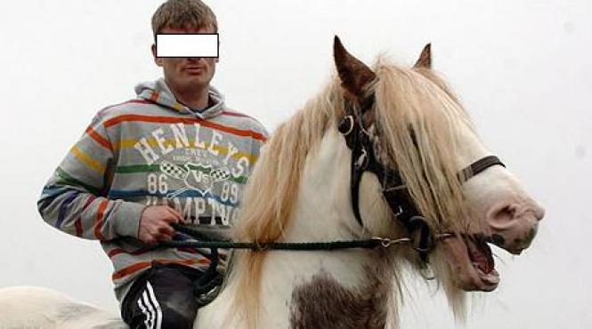 giurgiu beat hot furt masina cal