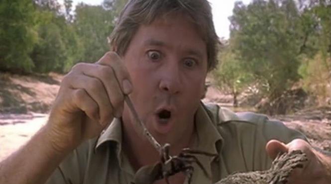 cameraman steve irwin moarte