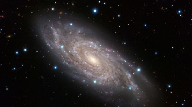 a fost descoperita cea mai mare stea din univers este de 1 300 de ori mai mare decat soarele