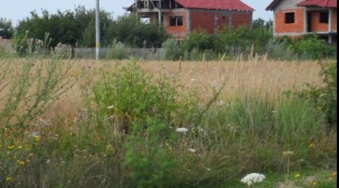 harta preturilor la terenurile de pe langa capitala