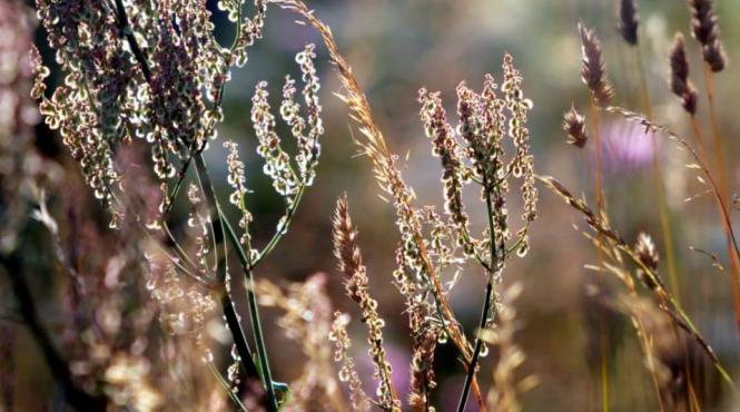 prognoza meteo pe trei luni afla cum va fi vremea in intervalul aprilie iunie 2014
