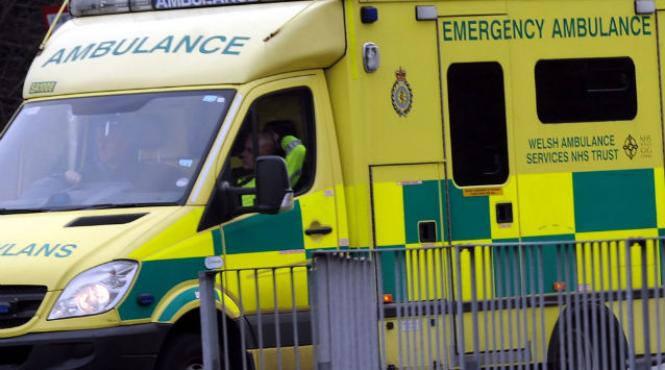 a murit cel mai gras britanic cat cantarea liam johnson un somer in varsta de 22 de ani