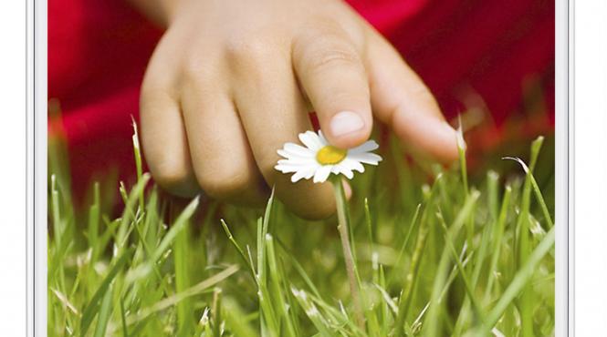 g2 mini lansare in romania