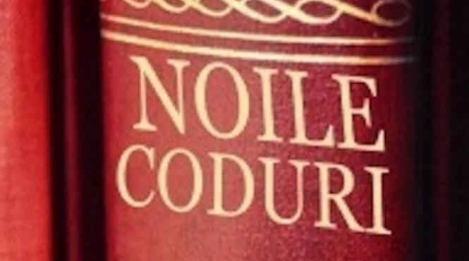 basescu intrarea in vigoare a codurilor a fost un succes chiar daca politia nu are bratari pentru arestatii la domiciliu