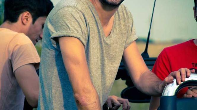 elefantii bizari au lansat zoologic