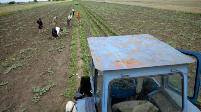 ministerul agriculturii va compensa majorarea accizei pentru motorina fermierii vor primi 1 8 lei litru