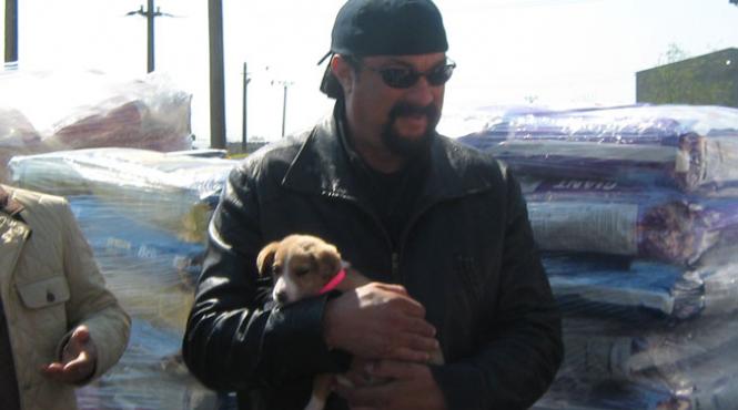 steven seagal a mai adoptat doi catei din adapostul dogtown
