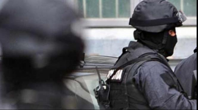 perchezitii la pro tv intr un dosar de evaziune fiscala prejudiciul este de cinci milioane de euro