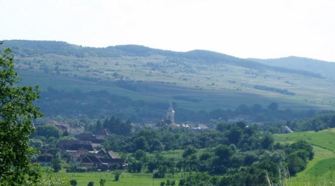 descoperire arheologica exceptionala ce au gasit specialistii romani din intamplare in apropiere de valea muresului