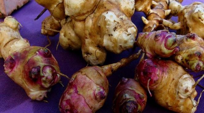 napul un aliment pierdut i regasit cu o istorie fascinanta